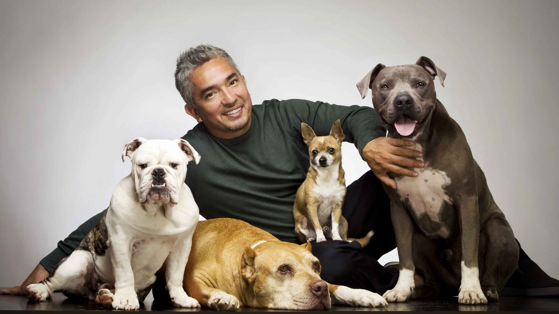 Cesar Millan with dogs