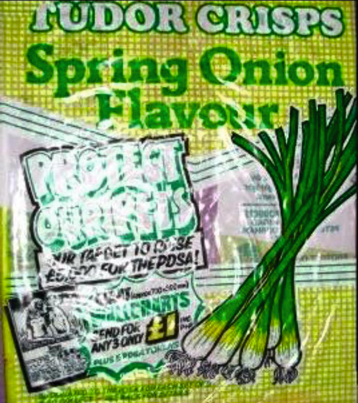 Tudor Crisps Spring Onion bag