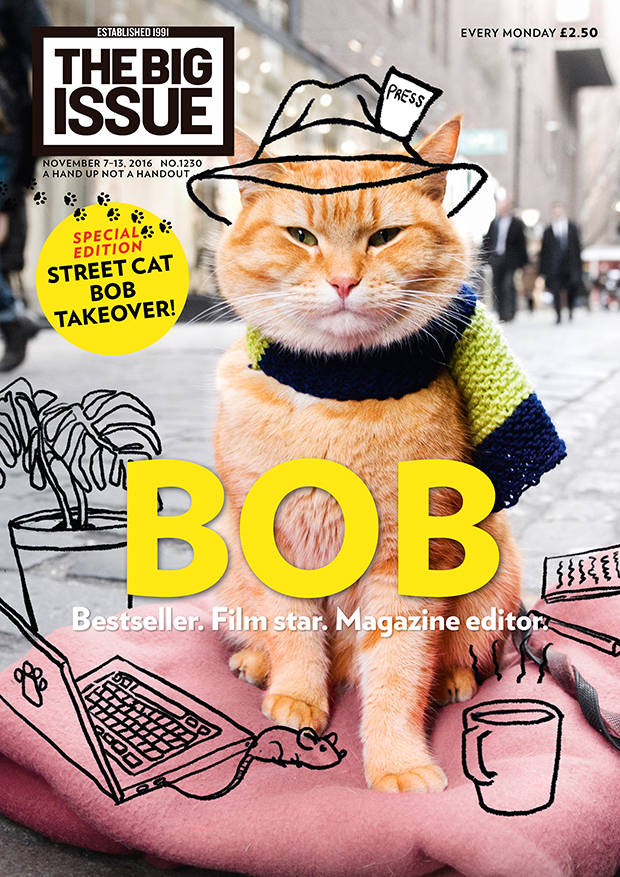 Street Cat Bob: Bestseller. Film star. Magazine editor. The famous moggy takes over The Big Issue!