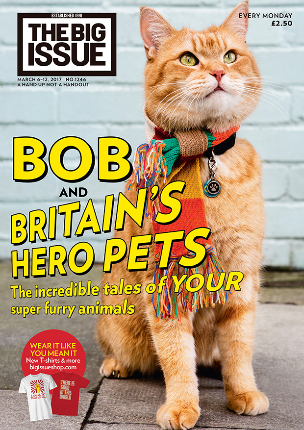 Street Cat Bob and Britain’s hero pets. The incredible tales of YOUR super furry animals…