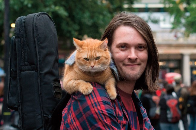 James Bowen and Street Cat Bob