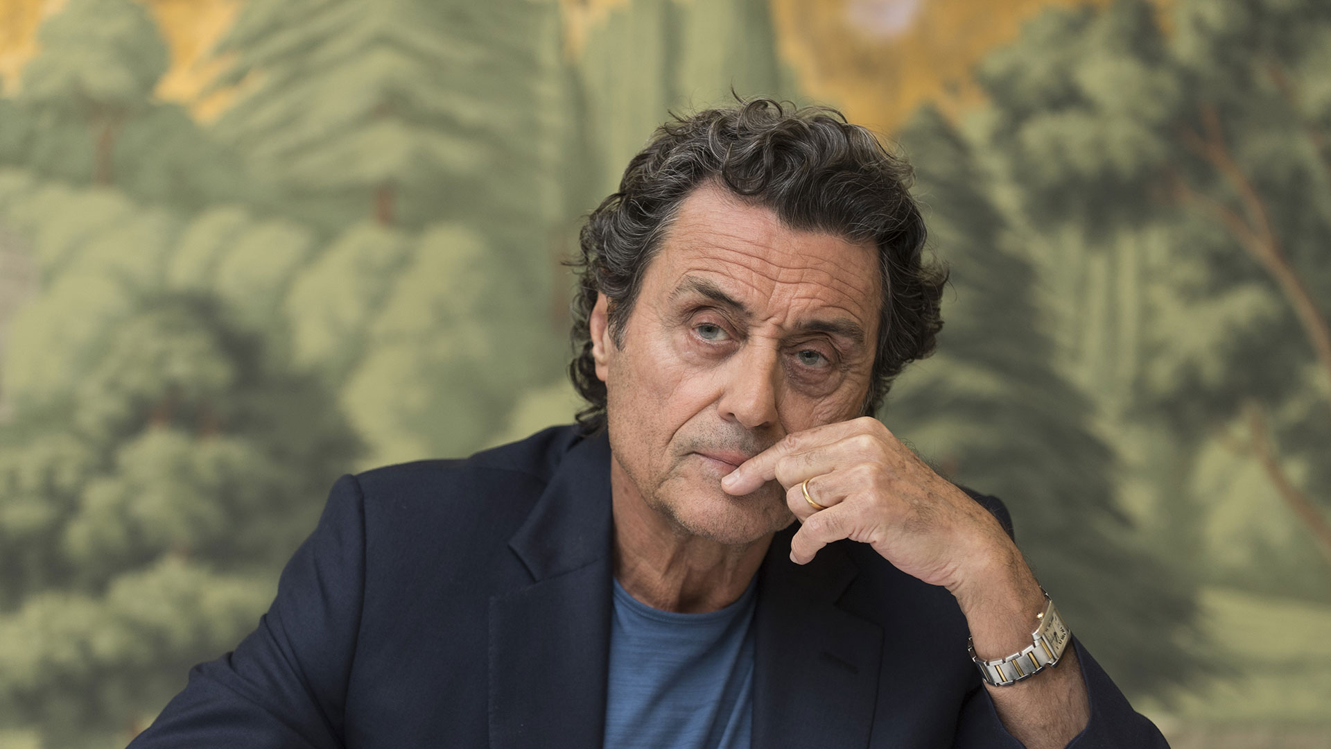 Has Ian McShane Ever Undergone Plastic Surgery?