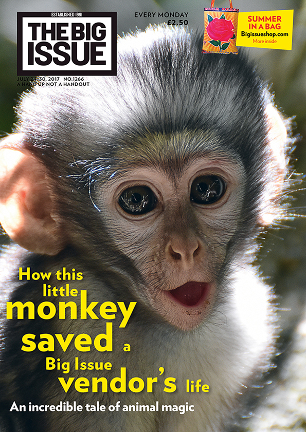 How this little monkey saved a Big Issue vendor's life – an incredible tale of animal magic
