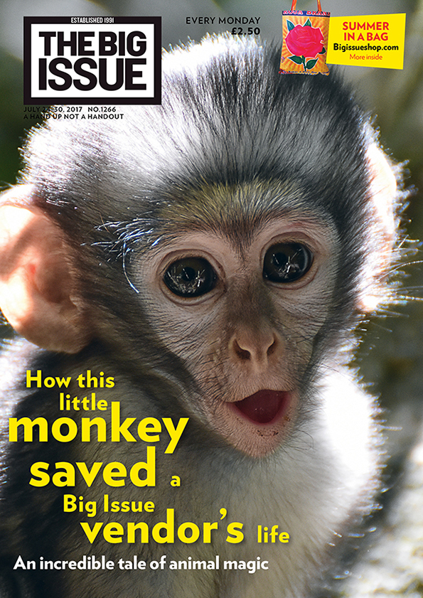 How this little monkey saved a Big Issue vendor’s life – an incredible tale of animal magic