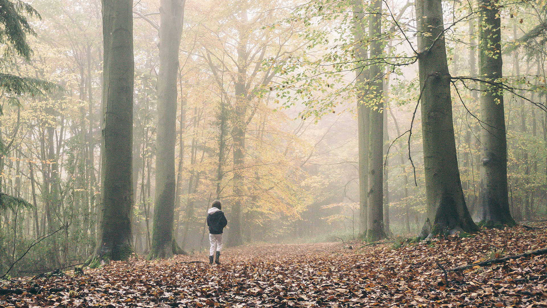 Woman in forest