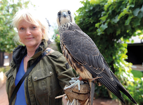 Miranda Richardson with bird of prey