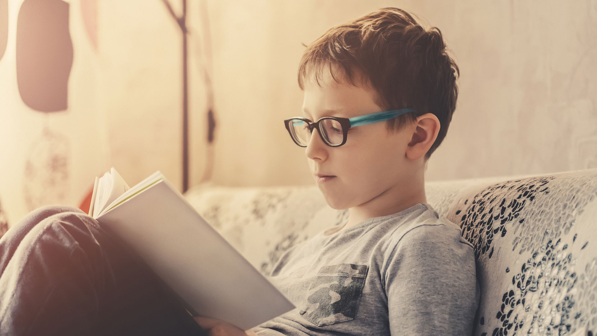 Boy reading a book