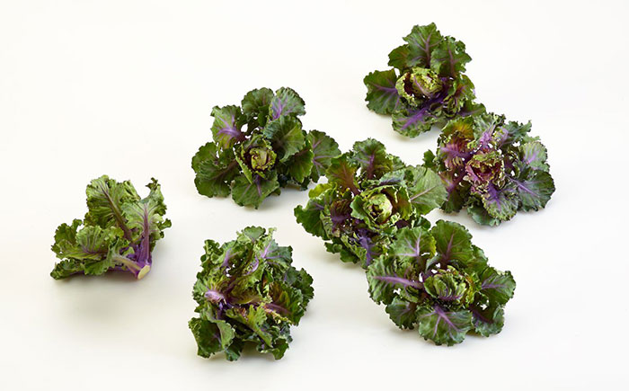 Kalettes