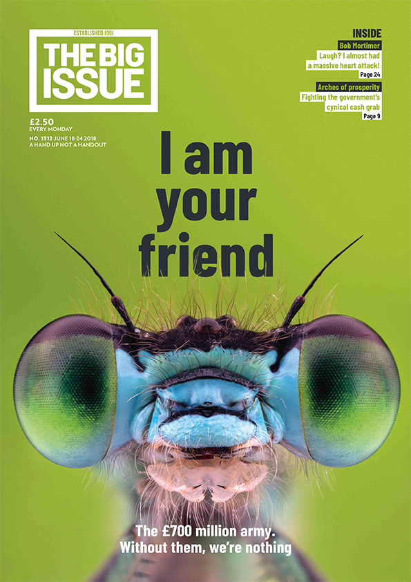 I am your friend: The £700 million insect army