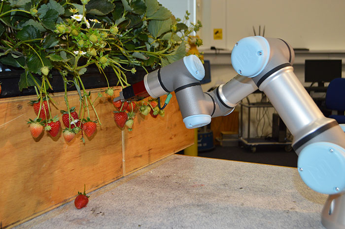 University of Exeter fruit picking robot