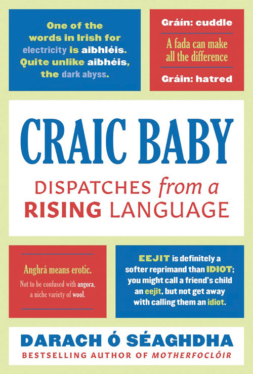 Craic Baby: Darach Ó Séaghdha