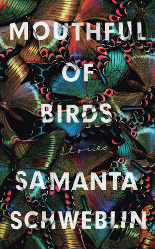 Mouthful of Birds, Samantha Schweblin, book jacket