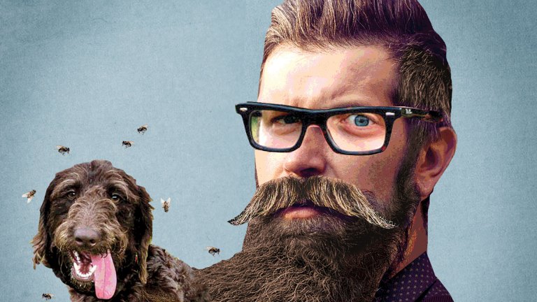 Fact/Fiction 1355 beard dog