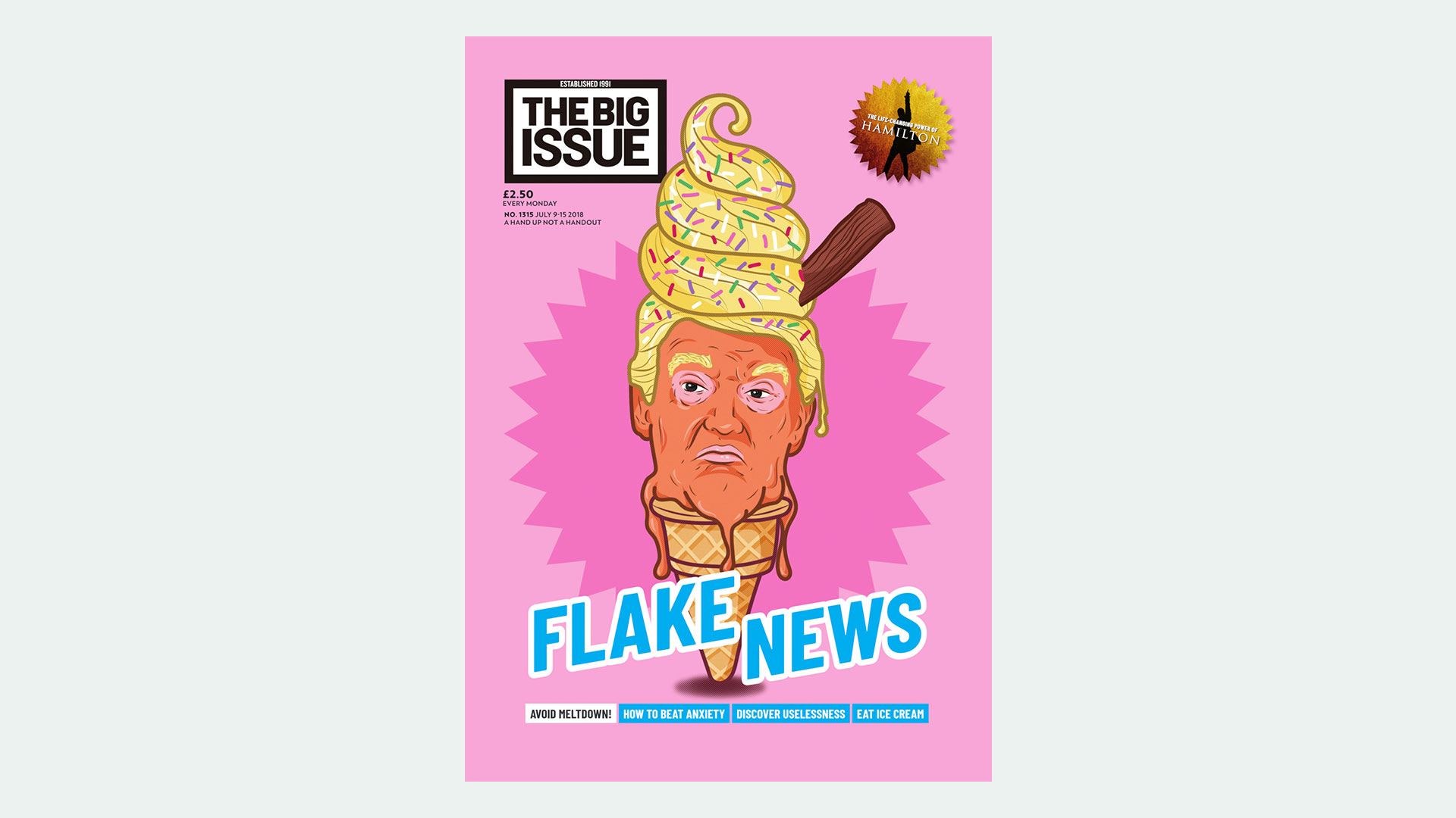 Flake News Trump cover