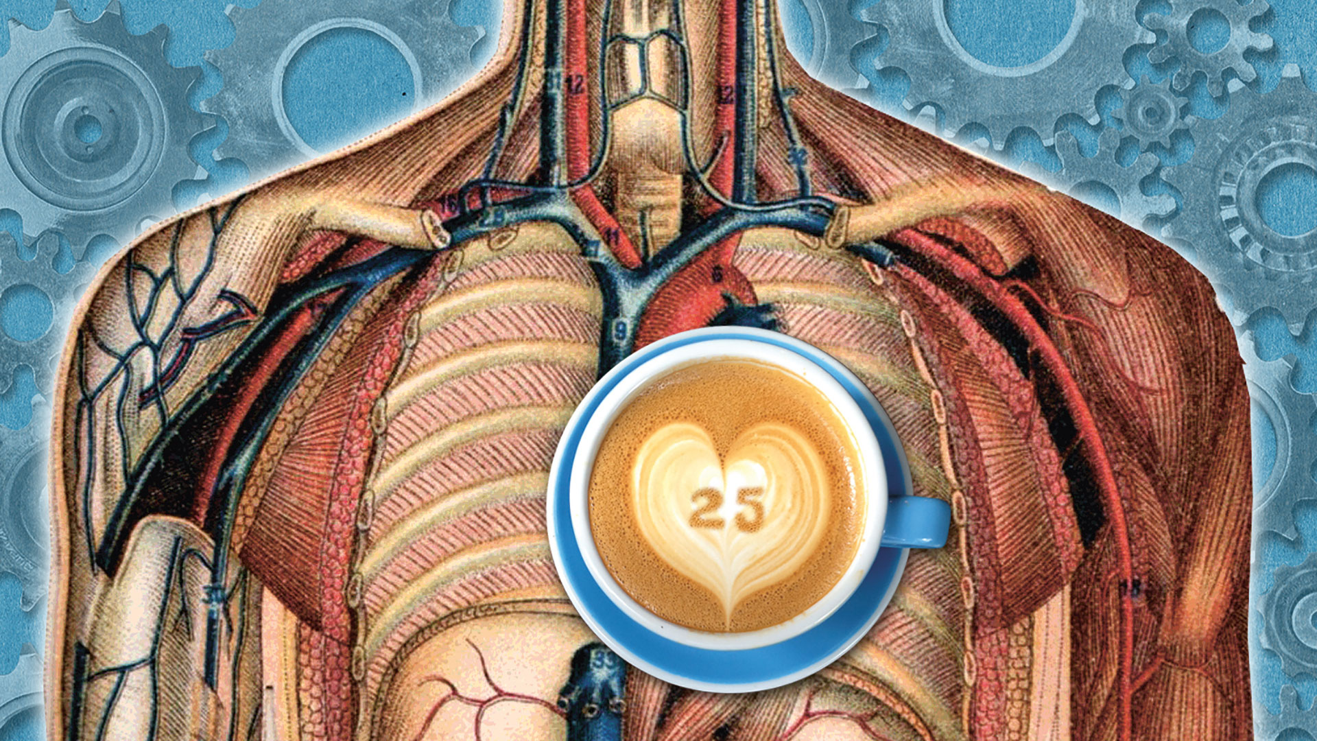 Fact Fiction coffee heart 1362