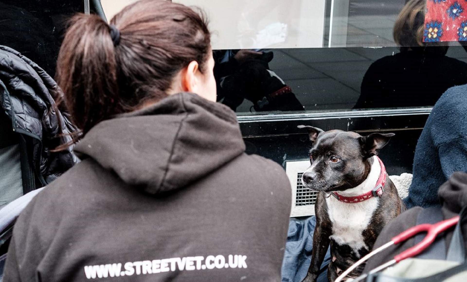 StreetVet