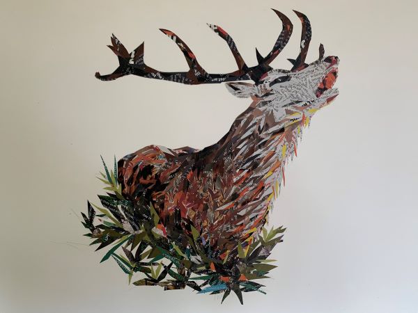 carole baughan stag