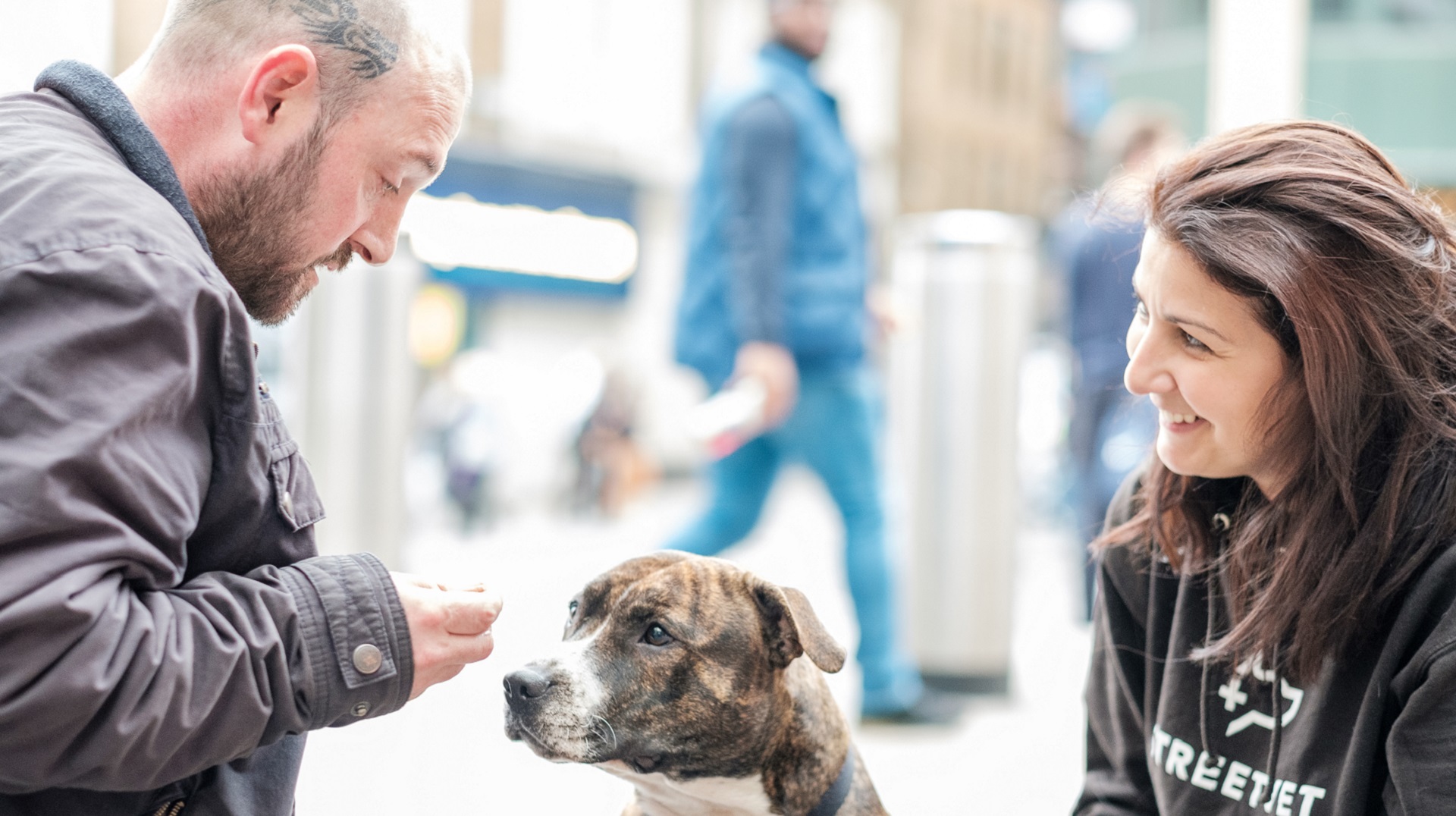 Street Vet's Jade Statt helps man and pet staffie