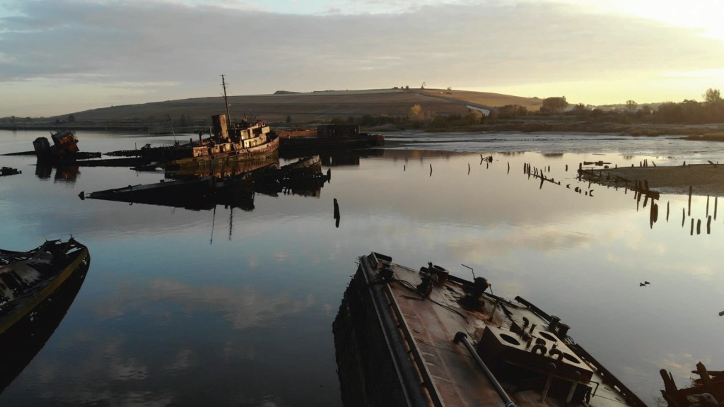 The ships may be rusting in Newark Bay, but the fish have adapted to survive. Image credit: Cal Flyn