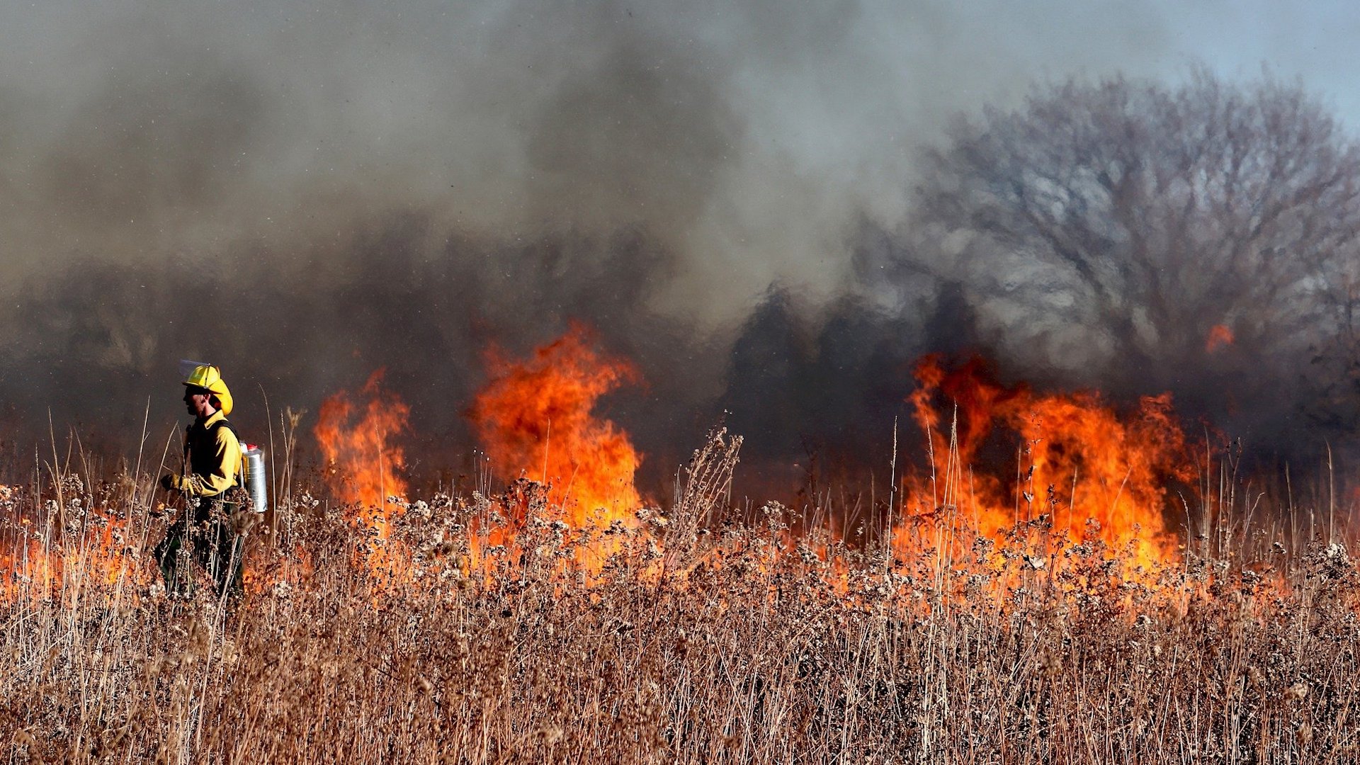 a firefighter tackles wildfires. campaigners warn new coalition isn't enough to tackle climate crisis