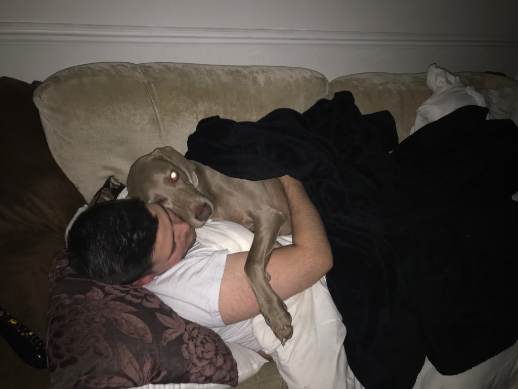 Jordan with his Weimaraner, Jasmine, who he has been unable to see during lockdown.