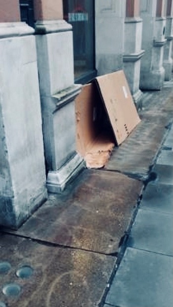 Westminster rough sleeping