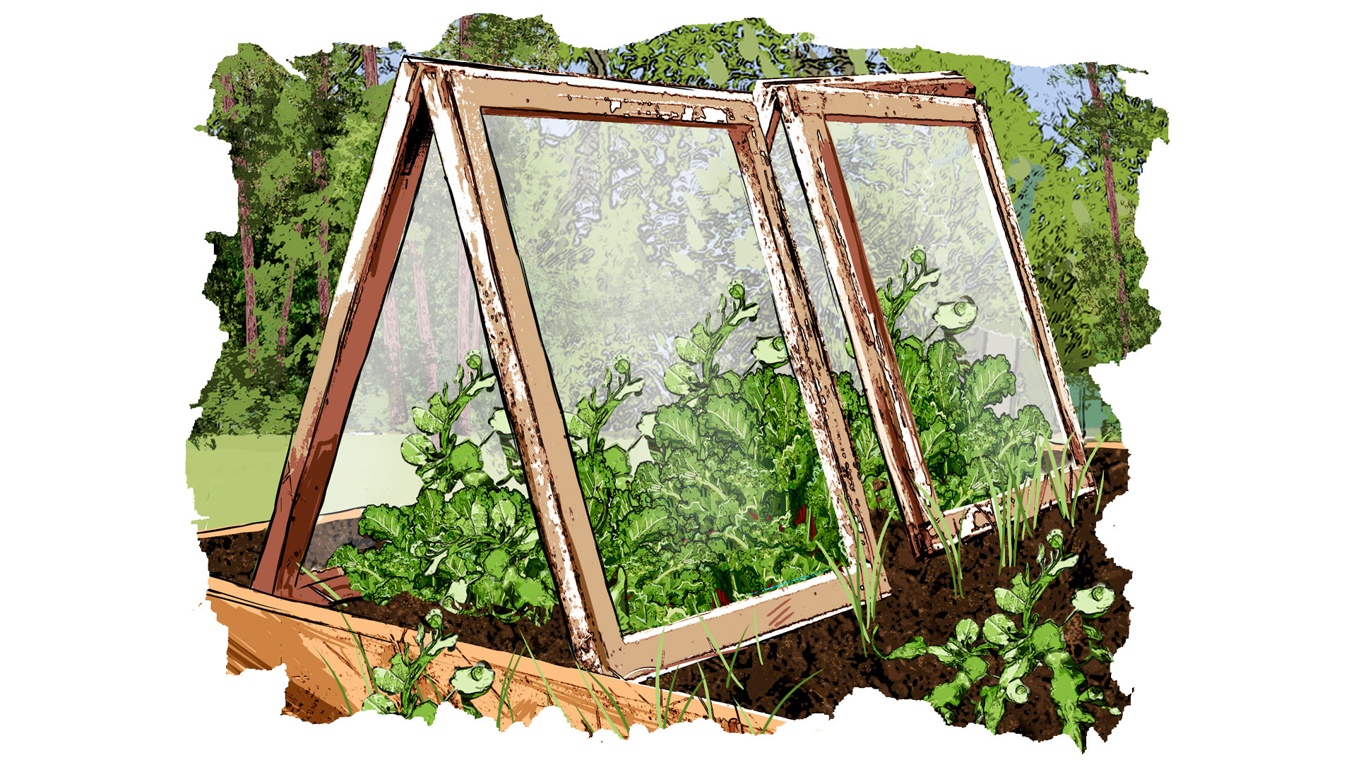 spring vegetables in a tunnel