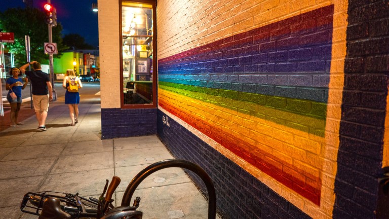 New art on the side of Nellie's Sports Bar along U Street NW, Washington, DC. This was done by Lisa Marie Thalhammer, who also did the popular LOVE mural in DC's Blagden Alley.