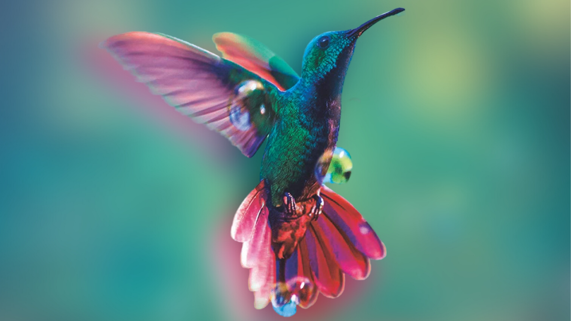 Hummingbird Salamander by Jeff VanderMeer is out now (4th Estate, £16.99)