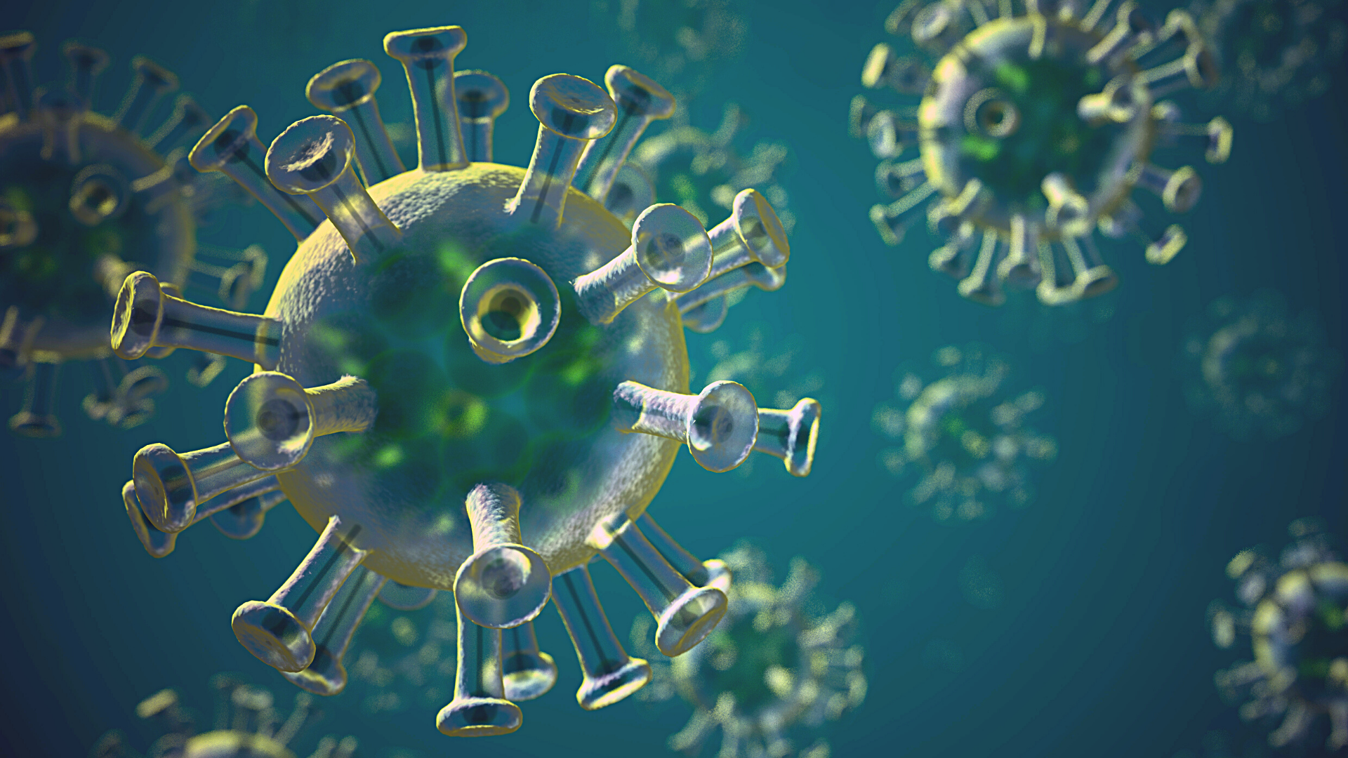 What is the Indian coronavirus variant? Image credit: HFCM Communicatie / Wikimedia Commons