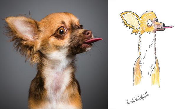 Rubbish Pet Portraits: dog with tongue out