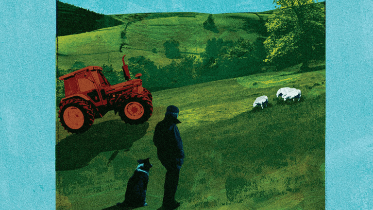 In every farm there is something going on which isn’t at all like you think it is, writes Bella Bathurst. Illustration: Joseph Joyce