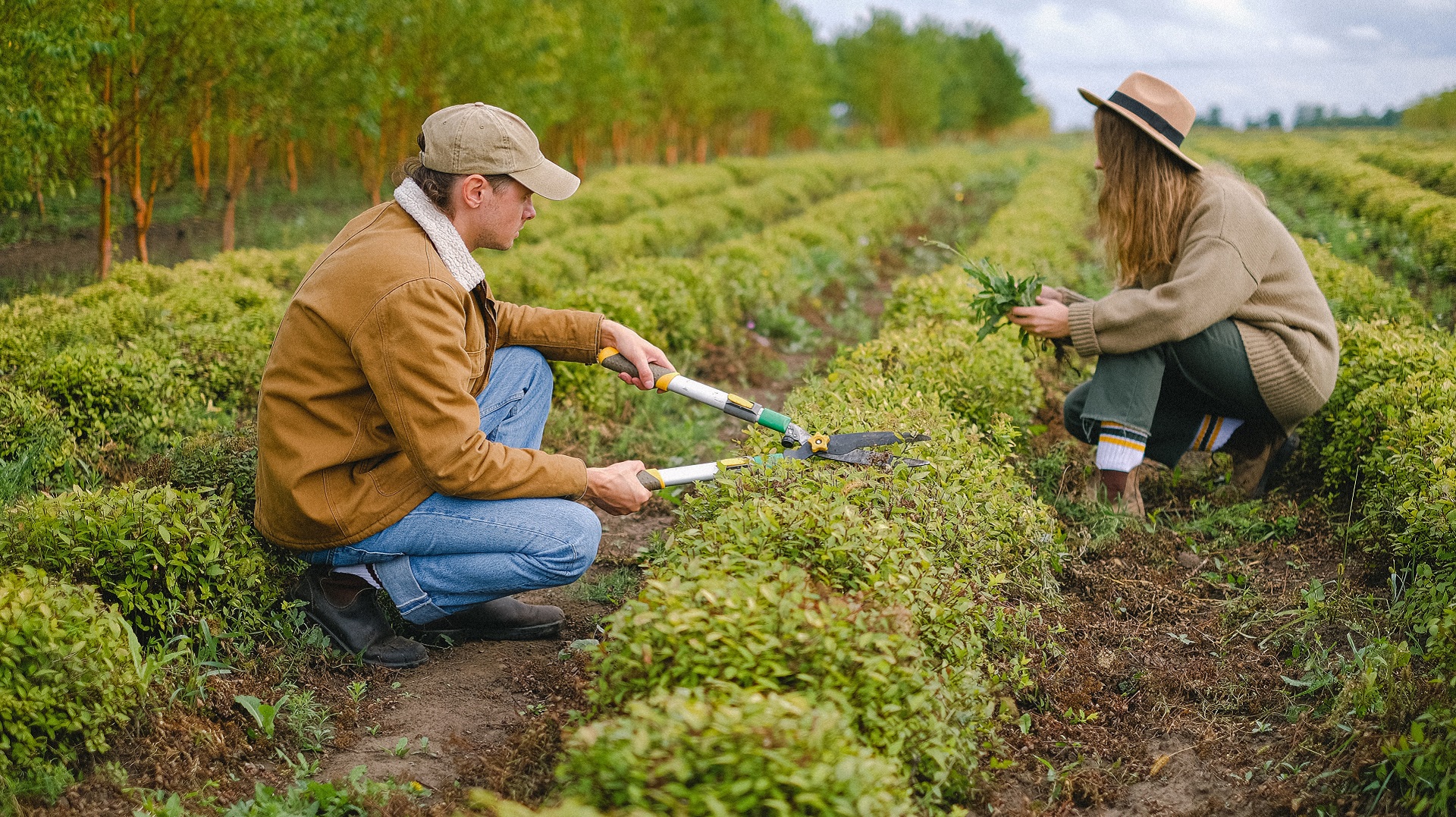 Green jobs