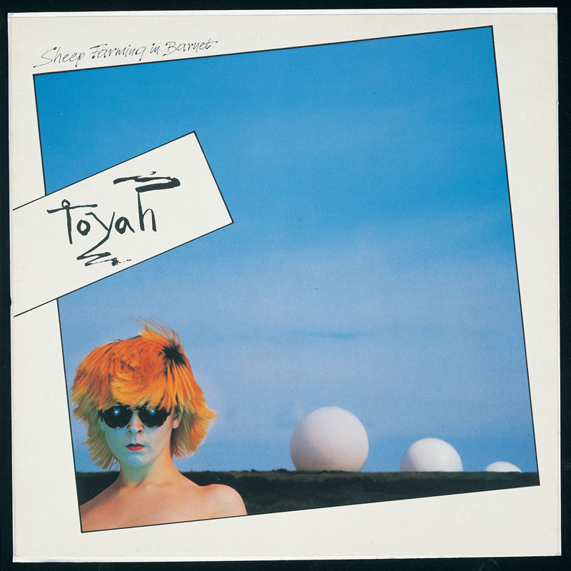 Toyah 