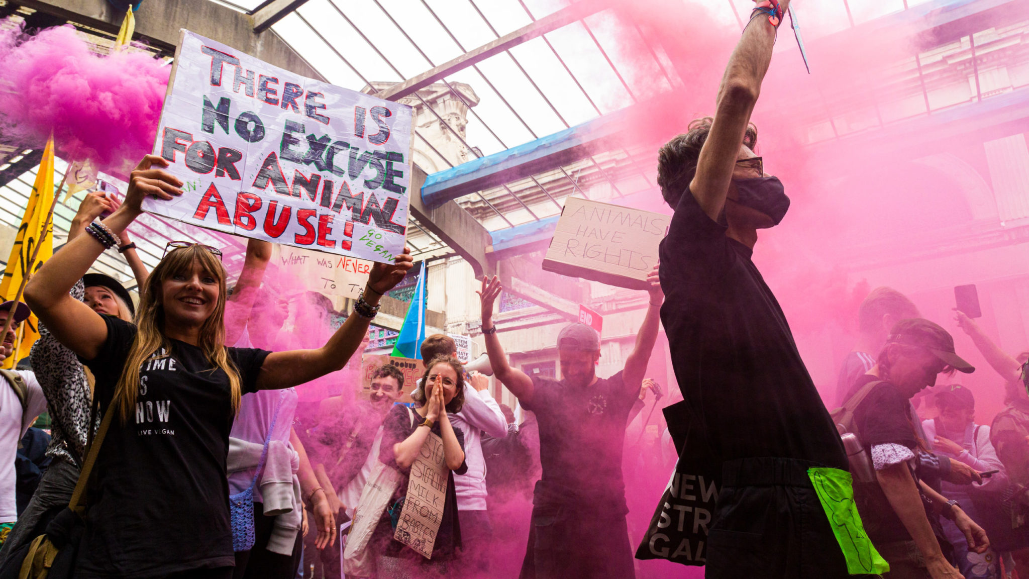 Explained: This is your right to protest and how police can restrict it