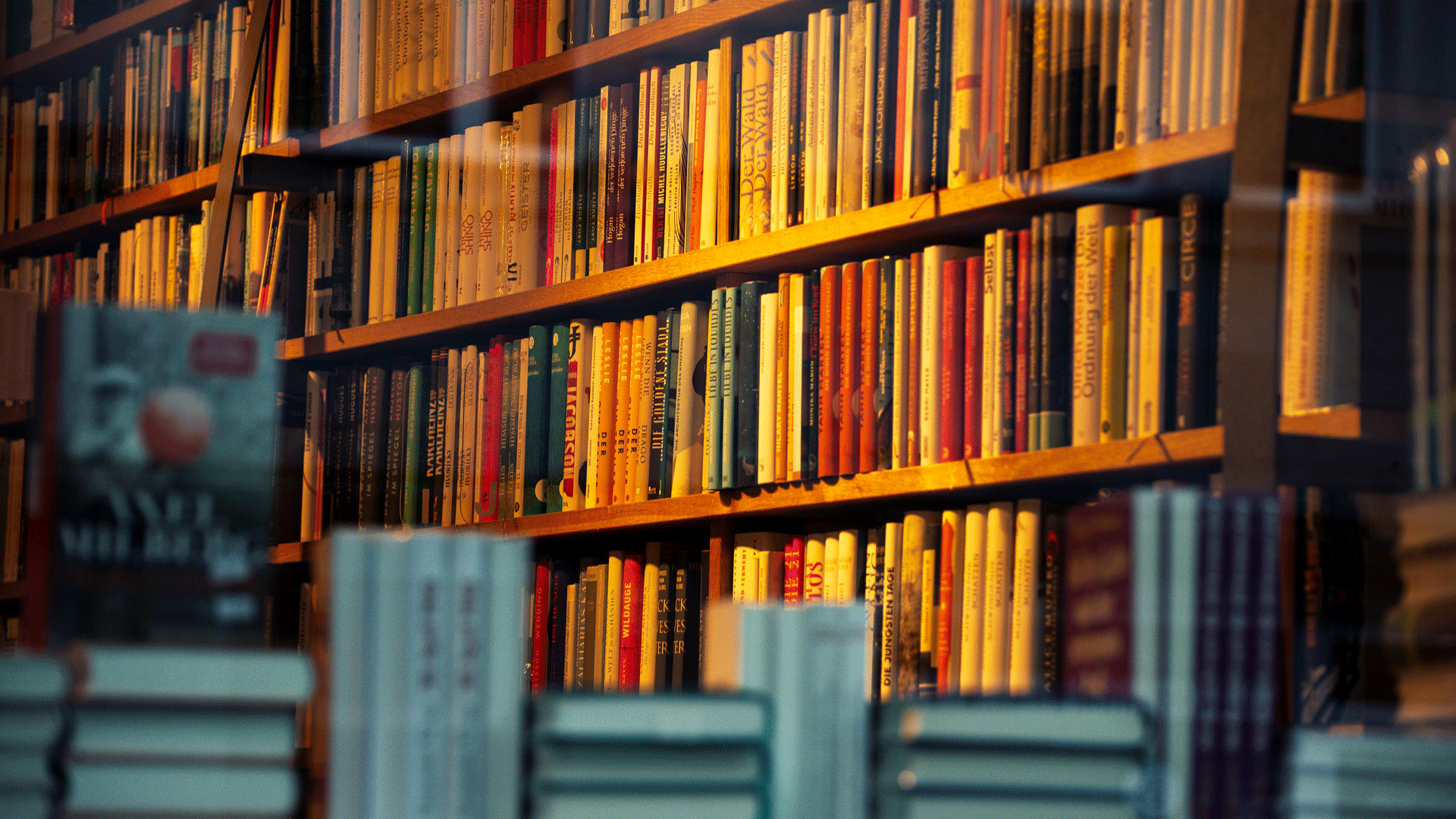 Bookshop window