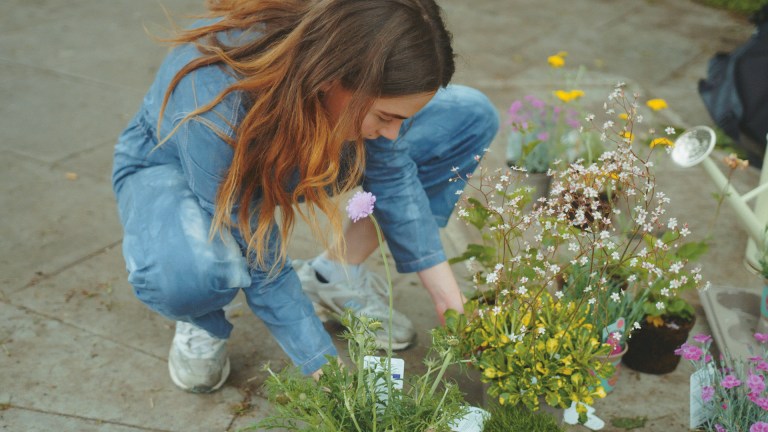 Ellen Miles, a guerrilla gardener planting in her neighbourhood.