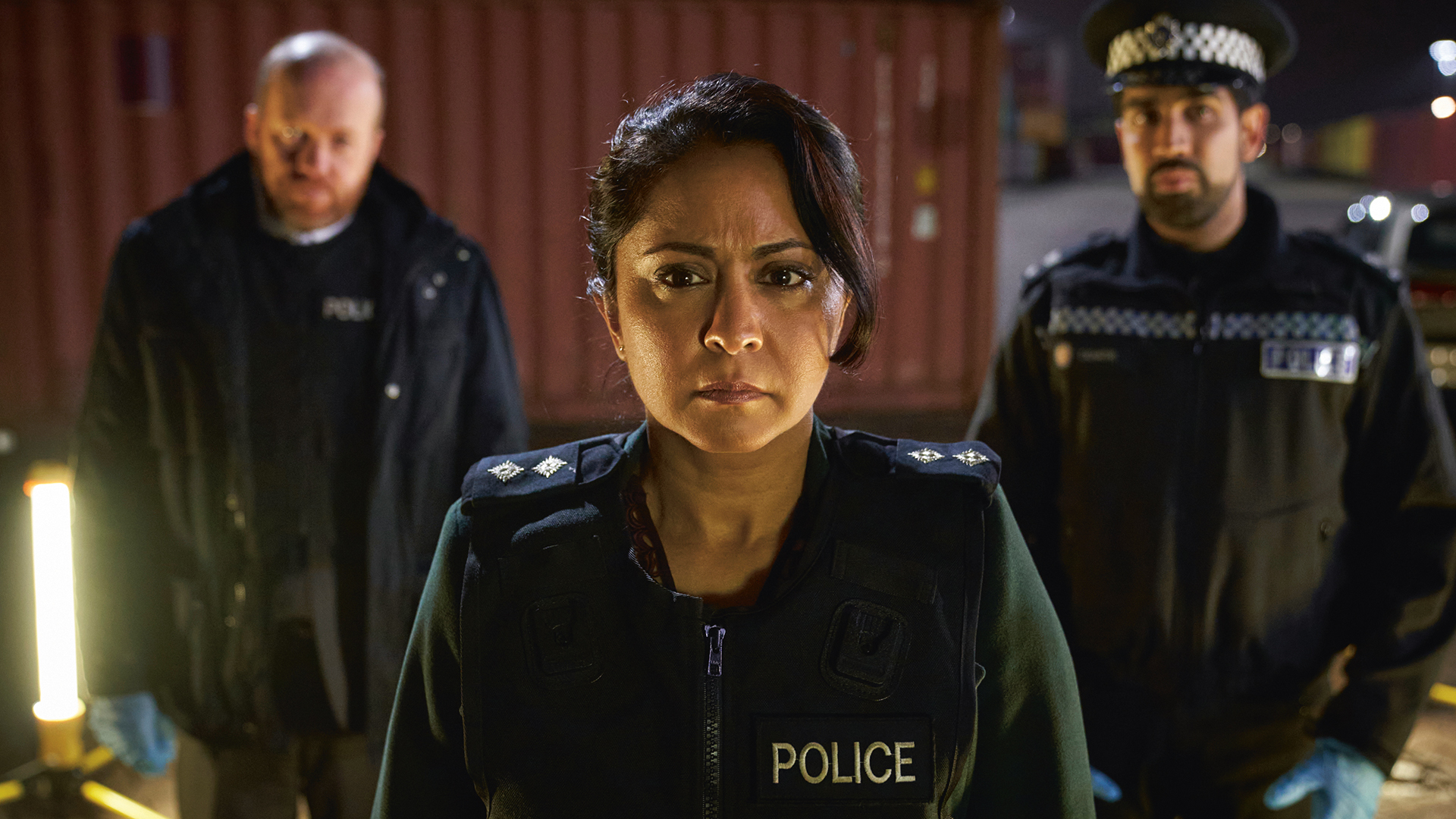 Parminder Nagra as DI Ray