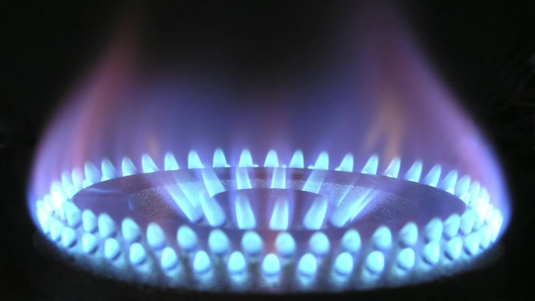 Flame of a gas hob against black background