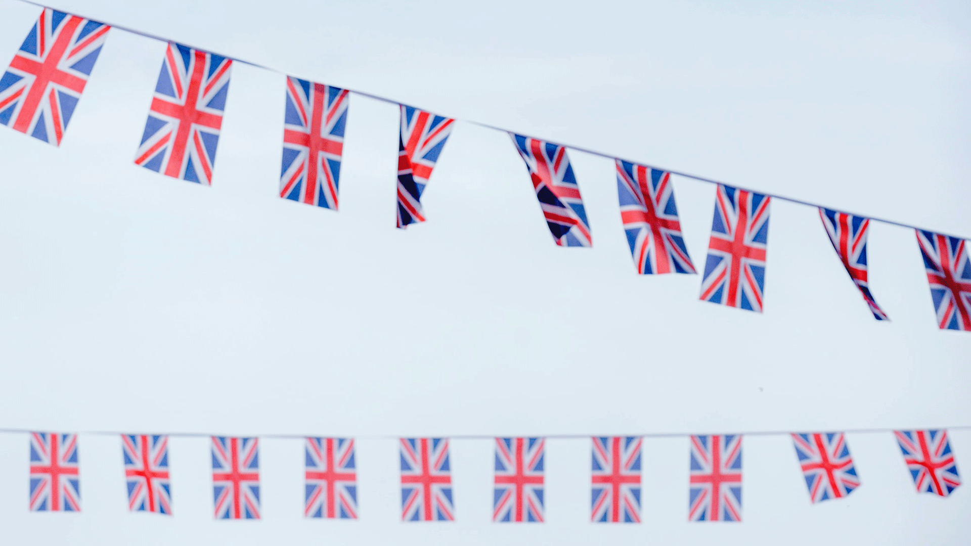 Bunting