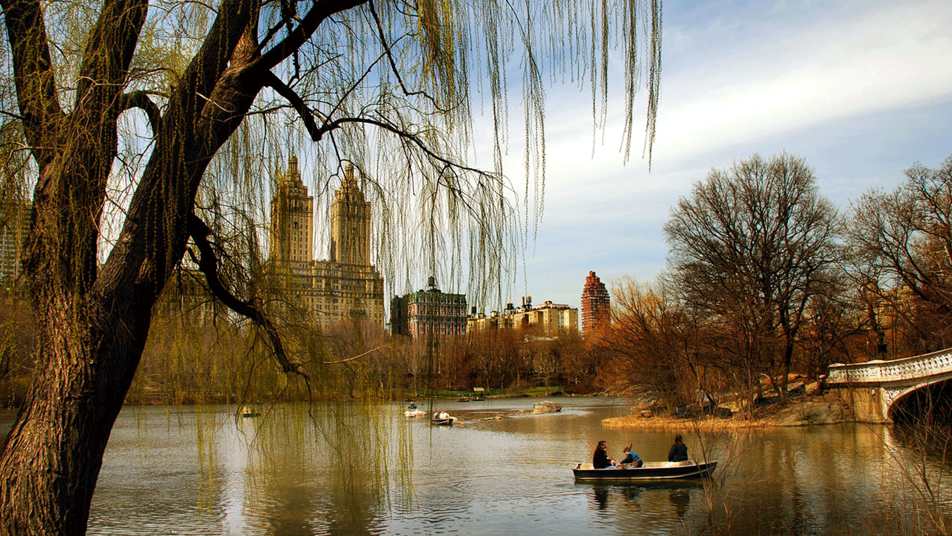 Central Park, New York