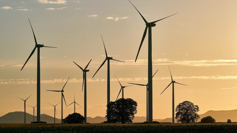 Image of windfarm at sunset.