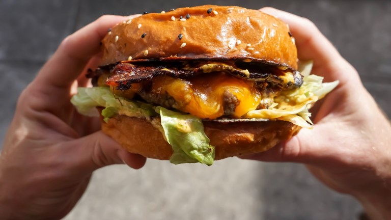 Food/ Image of burger