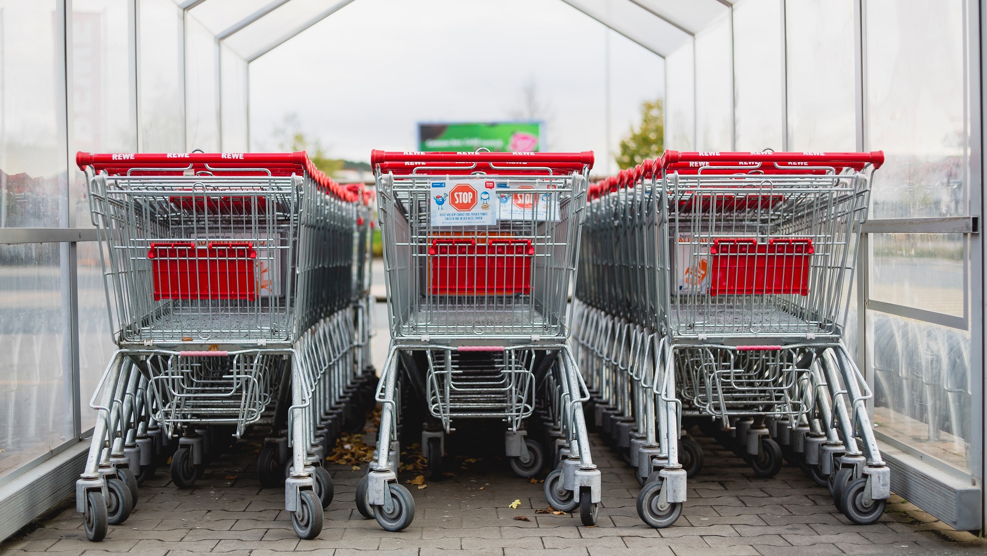 Food comparison site Trolley is at risk/ Image of trolleys