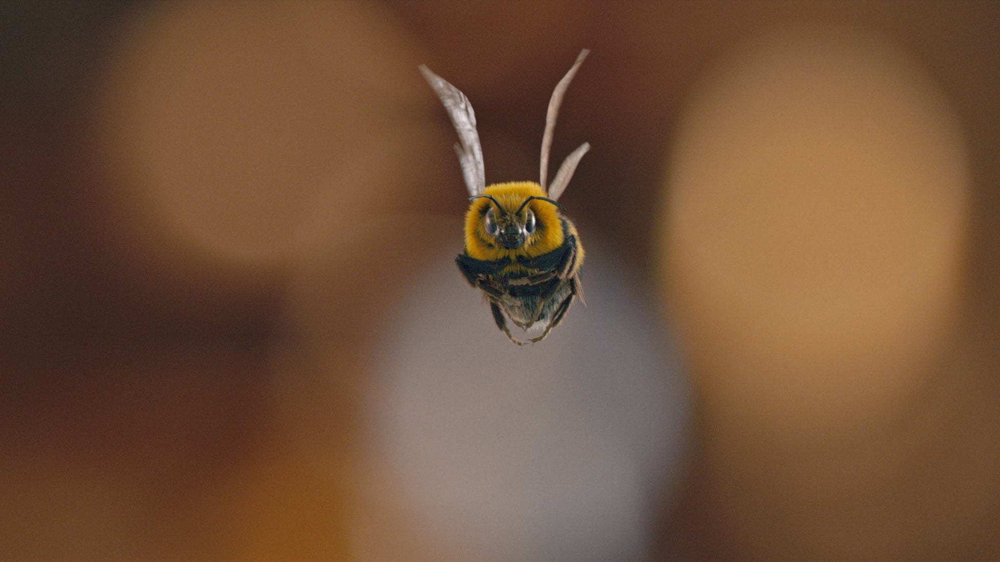 Man vs Bee. Image: Netflix