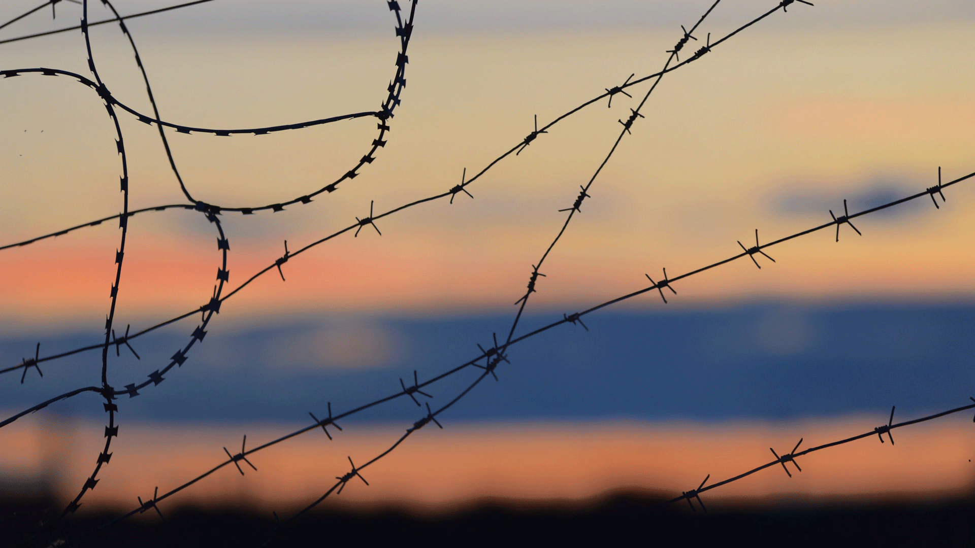 Razor wire at sunset