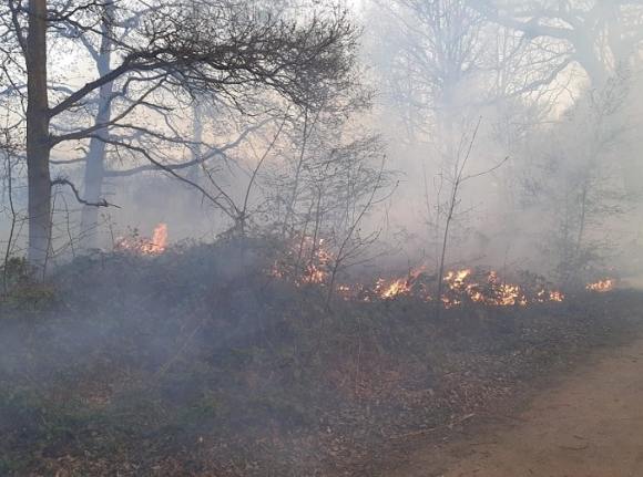 A fire broke out in London on the hottest day ever recorded.