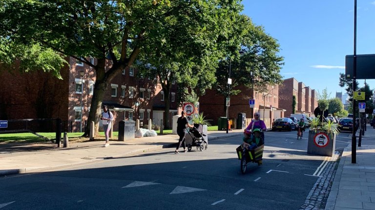 Tree-lined streets. Trees can help cities deal with heatwaves.