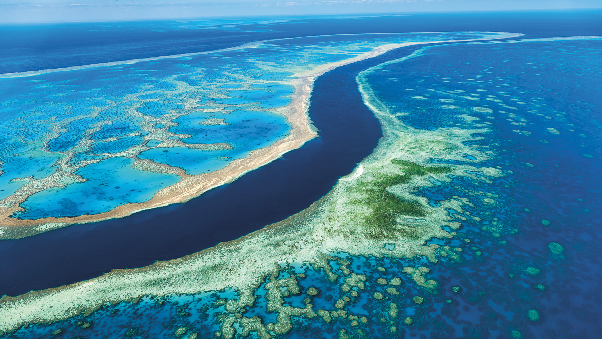 The Great Barrier Reef