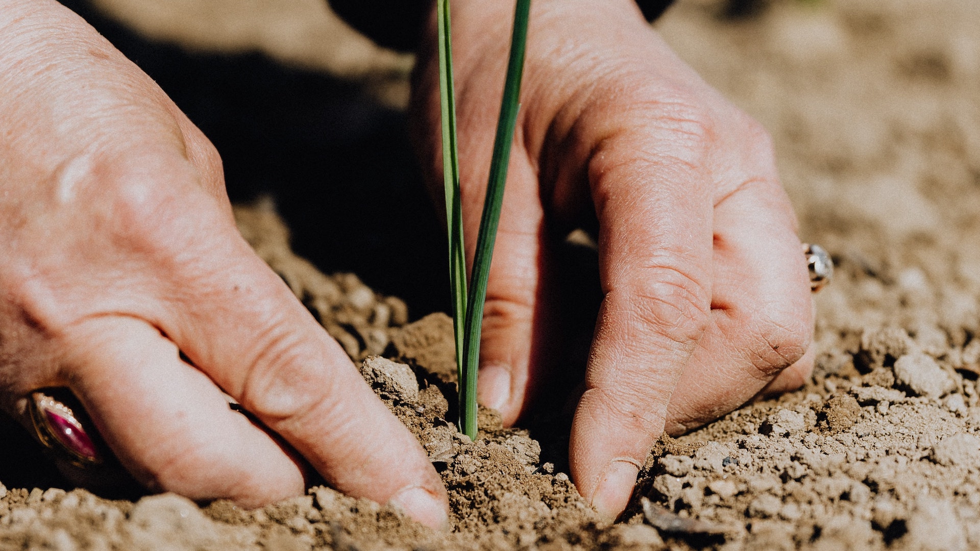 gardening hands